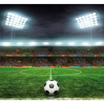 Origin Football Stadium Green Wall Mural - MUR310