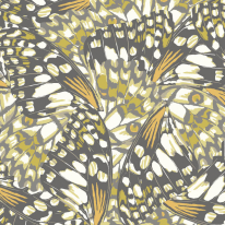 Origin Butterfly Wings Black/Olive Green Wall Mural - MUR359