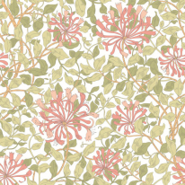 Origin Honeysuckle Soft Coral Wall Mural - MUR380