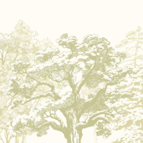 Origin Etched Trees Apple Green Wall Mural - MUR432