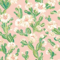 Ohpopsi Revive Cactus Bloom Coco Blush Wallpaper - REV50155W
