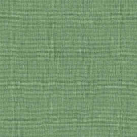 Erismann Colour Passion Texture Green Wallpaper - 10393-07