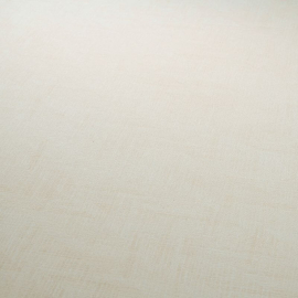 A flat swatch image of the 10589-14 cream texture pattern.