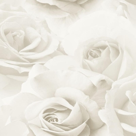 Muriva Rhoda Rose Cream Metallic Wallpaper - 203502