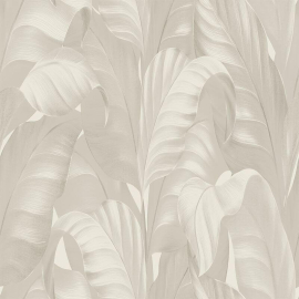 Belgravia Decor Sumatra Leaf Cream Wallpaper - 2362