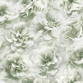Debona Floral Bloom Sage Green Wallpaper - 3053