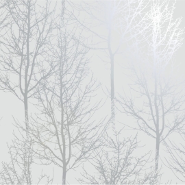 Holden Decor Rhea Zandra Trees Grey/Silver Metallic Wallpaper - 90760