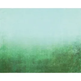 Origin Ombre Gradient Green Wall Mural - MUR280