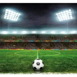 Origin Football Stadium Green Wall Mural - MUR310
