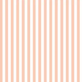 Ohpopsi Bloc Stripe Peach Puff Wallpaper - STR50114W