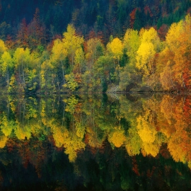 Anaglypta Wall-art Autumn Forest Lake Wall Mural - 5067-8