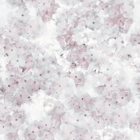 Muriva Apple Blossom Floral Rose Wallpaper - 211501