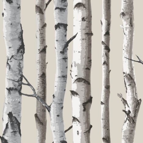 Fine Decor Distinctive Birch Tree Natural Wallpaper - FD31051