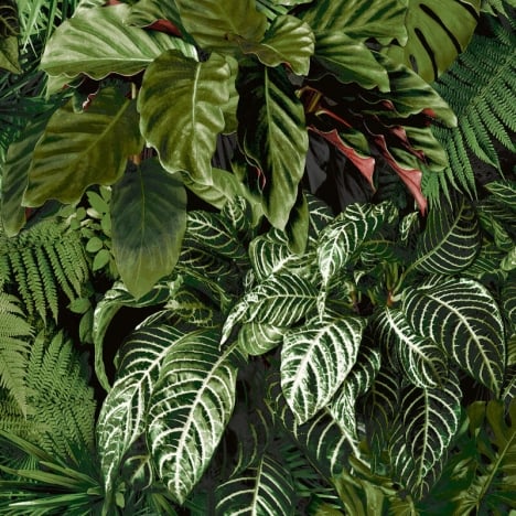 Grandeco Ciara Living Wall Tropical Leaves Green Wallpaper - A58601