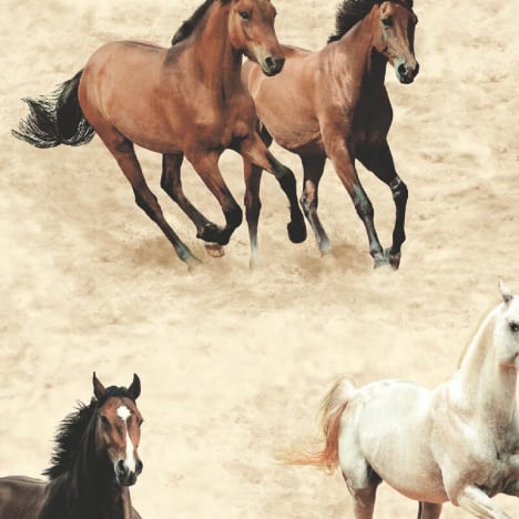 SK Filson Galloping Horses Stone Wallpaper - SK10037