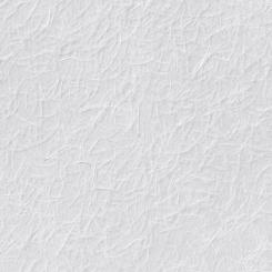 Introducing Wallrock Trend