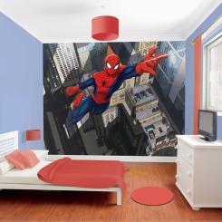 Decorating Ideas For Teenage Boy’s Bedrooms