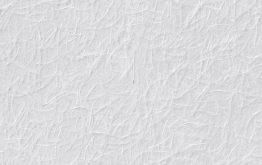 Introducing Wallrock Trend