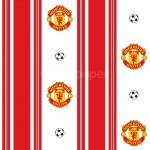 Your Support with Football Wallpaper Themes