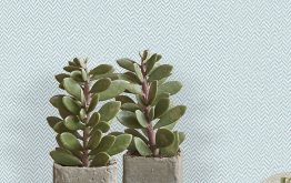 Paste the Wall Wallpaper And Some FAQs For You